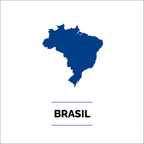 INVERSORES BRASIL