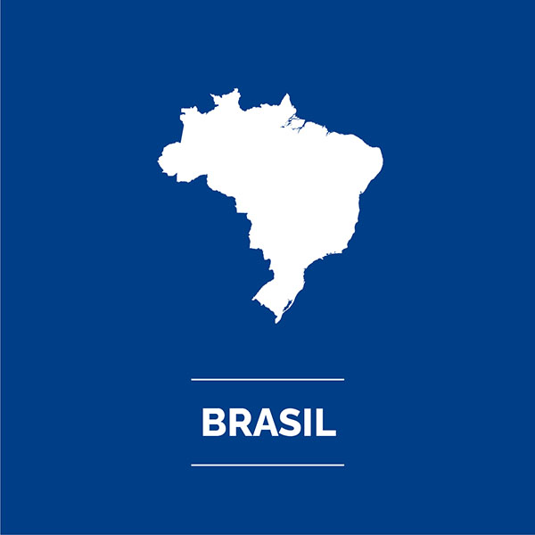 INVERSORES BRASIL