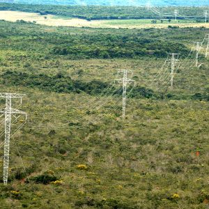 Jauru Transmissora de Energia (JTE),