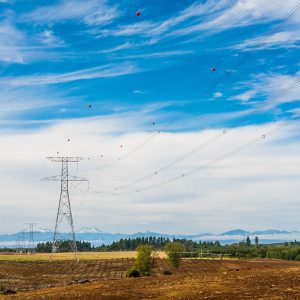 Charrúa Transmisora de Energía (CHATE)