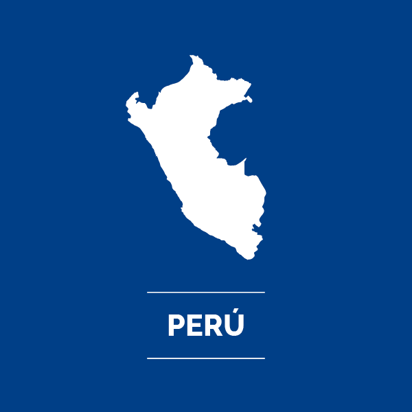 INVERSORES PERU1