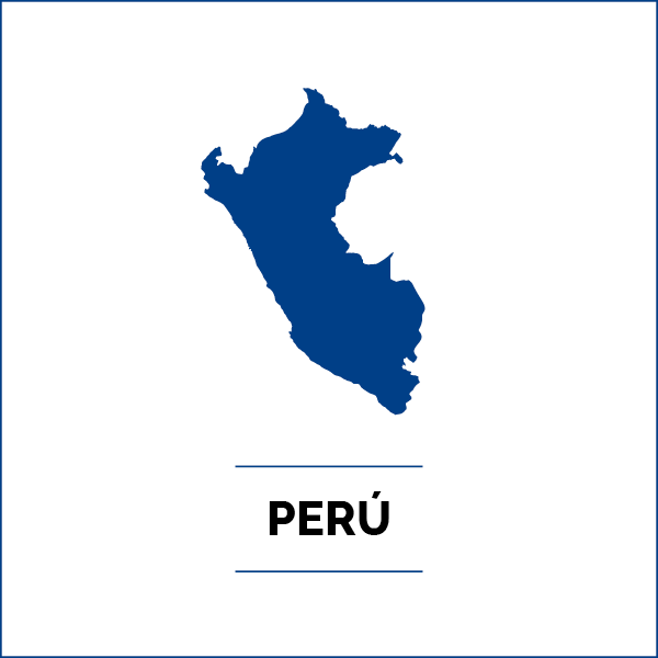 INVERSORES PERU2